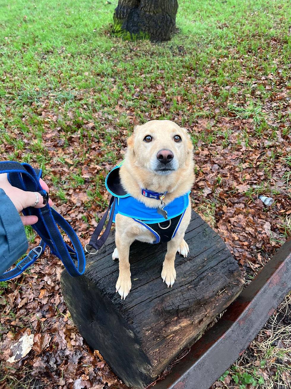 Did you say sausage!