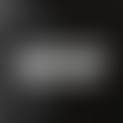 Alavancagem Operacional