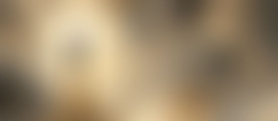 Çelik Gibi İrade Nedir?