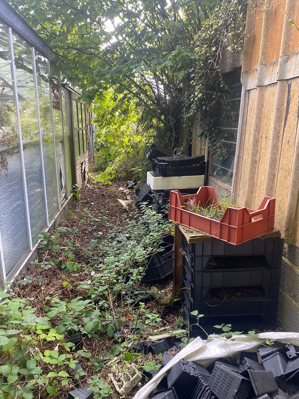 greenhouse path.heic