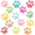 Multi-color paw prints.jpeg
