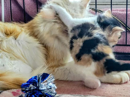 Parting is such sweet sorrow! 