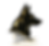 IMG_4150_edited.png