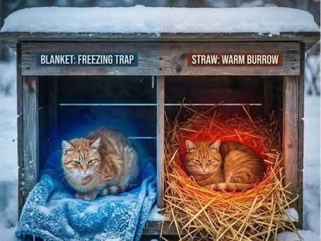 Cold weather information