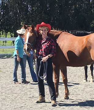Joan with horse at team based coaching session