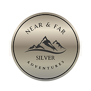 Silver award