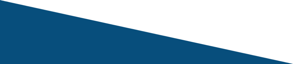 New Project.png