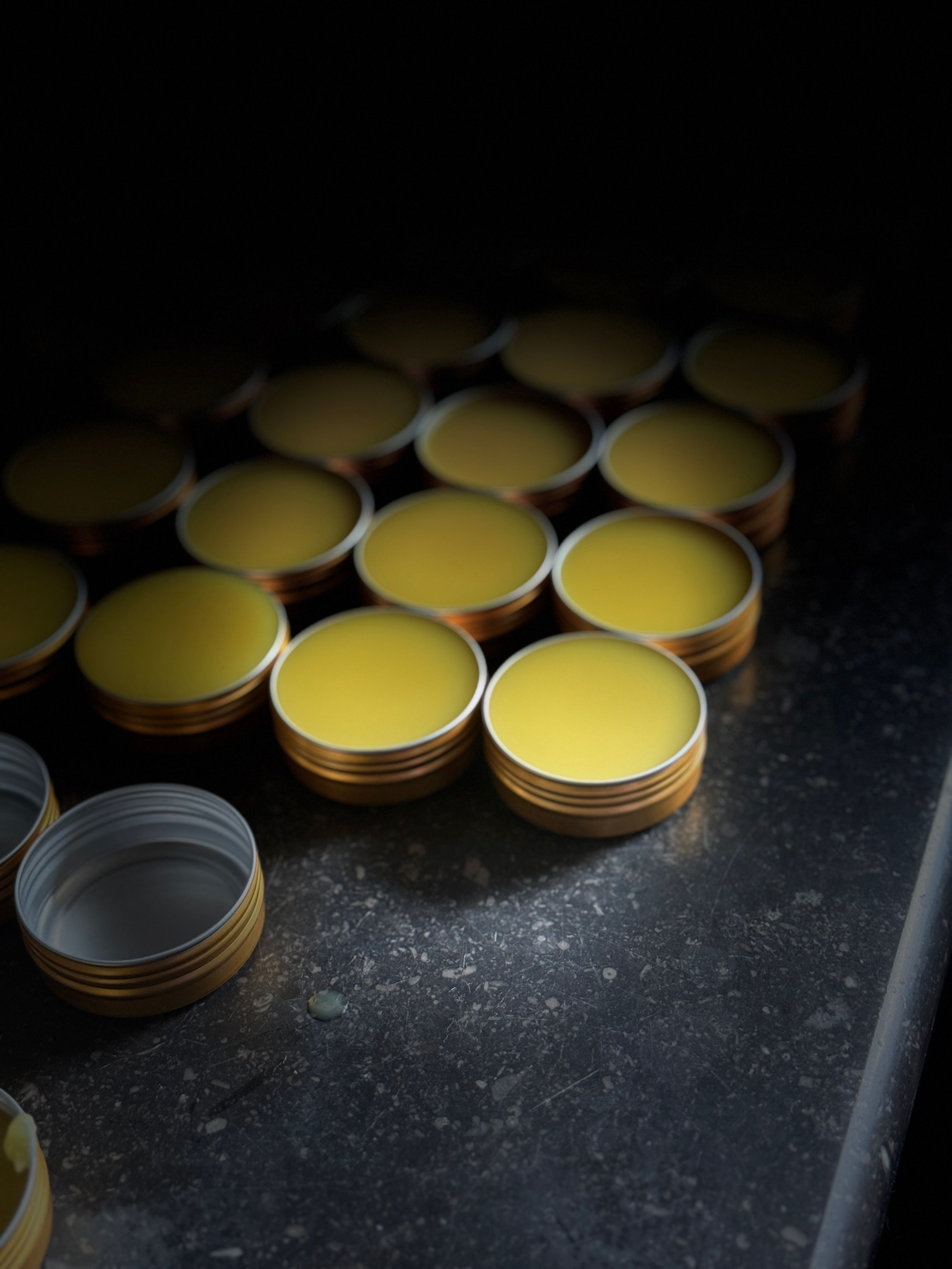 Baume de Pâquerettes