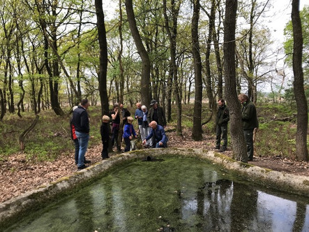 Noorderheide, Aggregaat