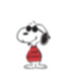 a black and white dog wearing sunglasses and a red shirt that says "Joe Cool"