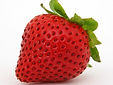 Fraise.jpg