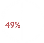 49% das organizações possuem programas de formação em Gestão de Projetos.