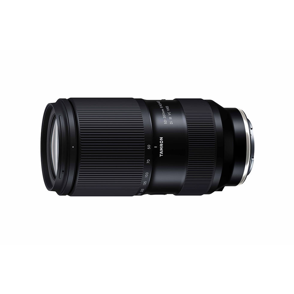 美品】CanonEOS7DMarkII本体+TAMRON単焦点レンズ 90mm 美品】CanonEOS7DMarkII本体+TAMRON単焦点レンズ 90mm