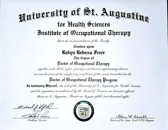 Diploma USA OT_edited.jpg