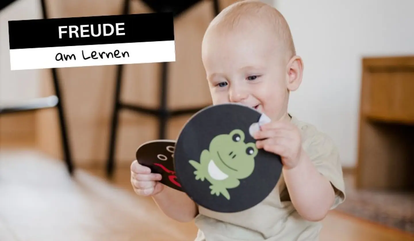 Kontrastkarten ab dem 6. Monat