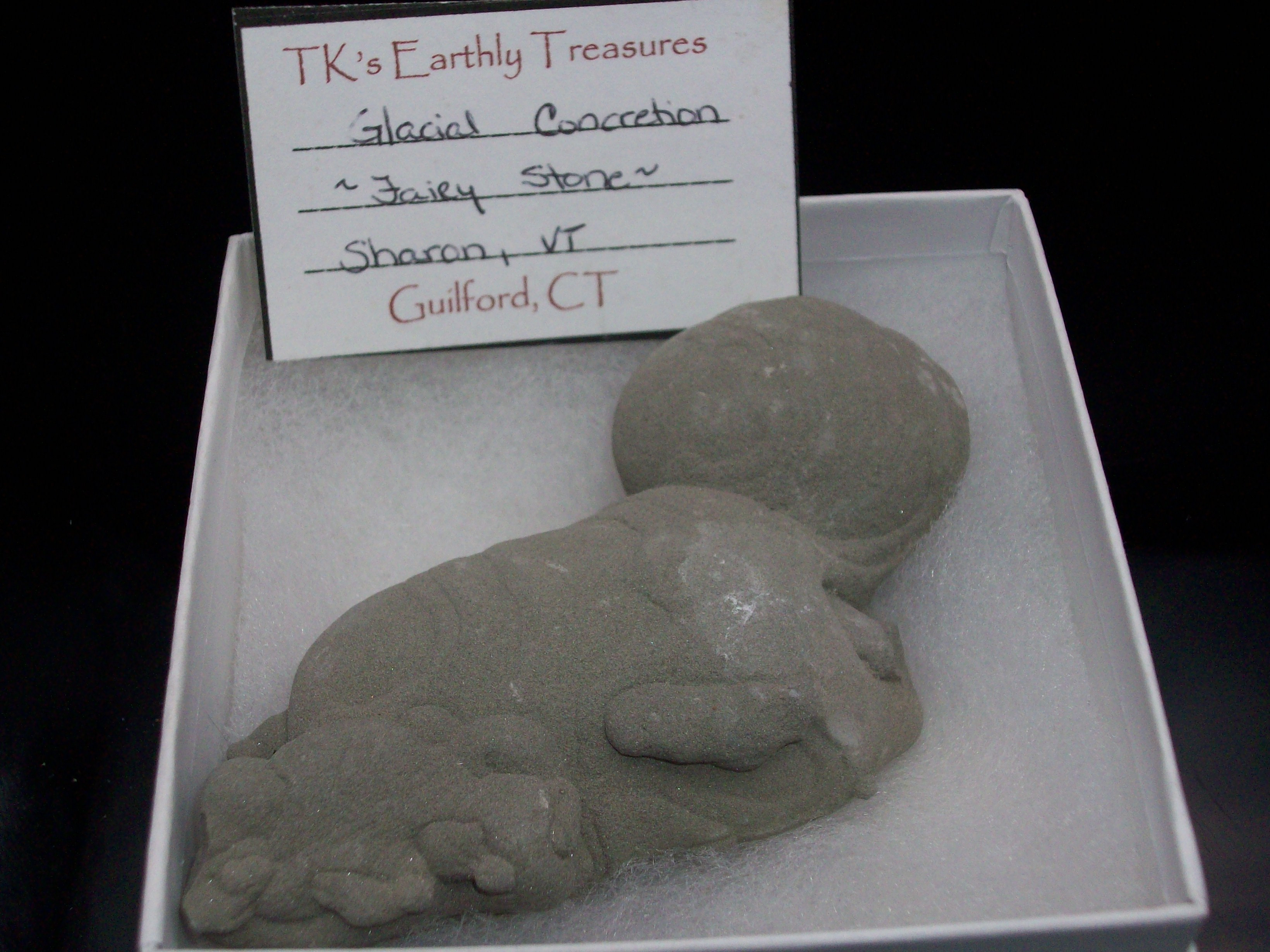 "Fairy Stone" Concretion