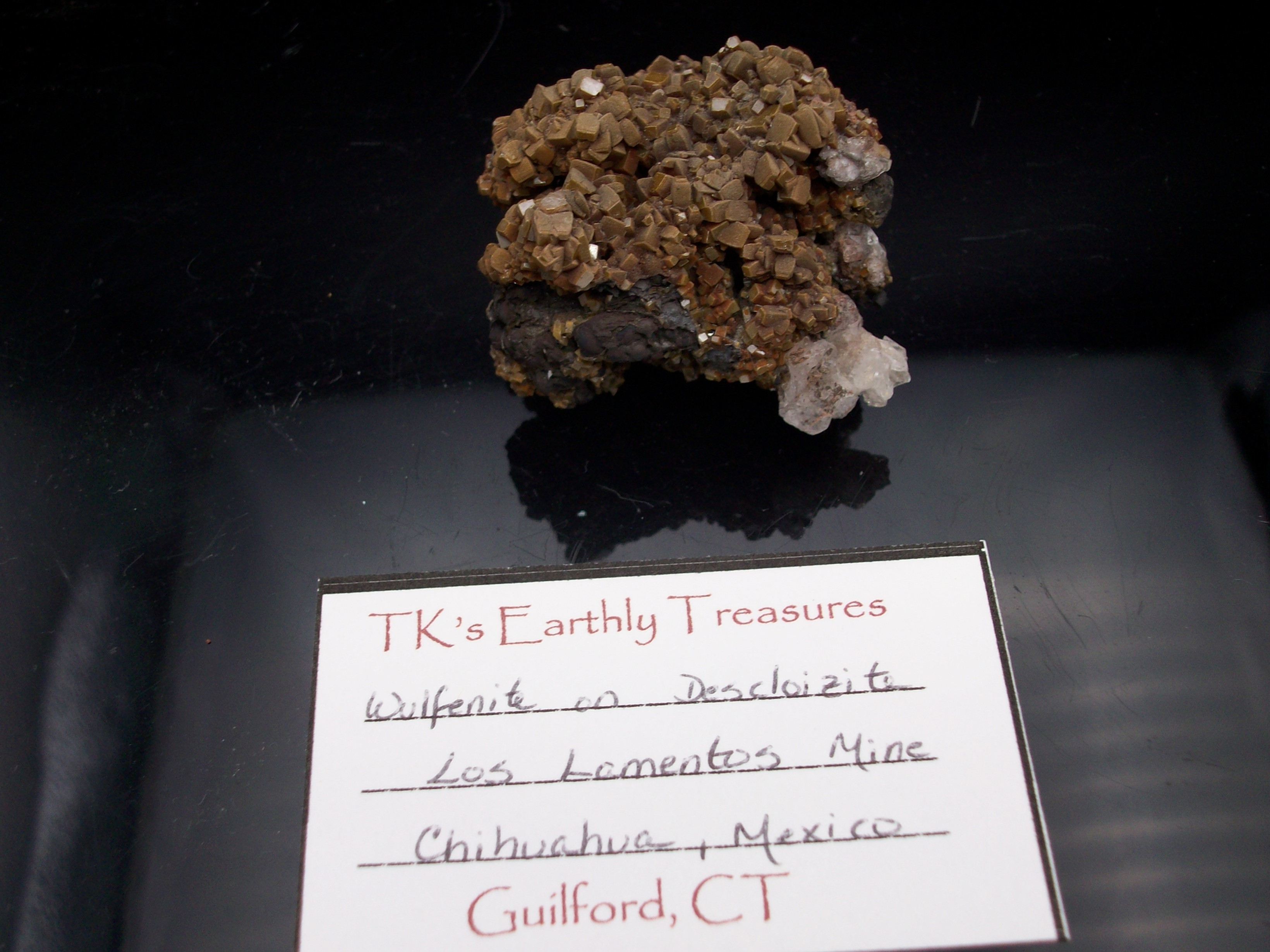 Wulfanite on Desclozite