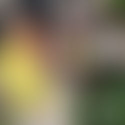 A Double Shot of Autism: Going beyond Autism Awareness to Acceptance