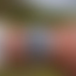 A Timepiece's Journey: From One Wrist to Another