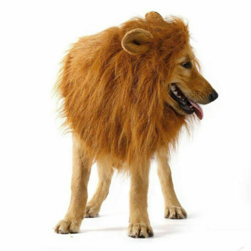 Thumbnail: Christmas Dog Costumes Fancy Dress Up Lion Mane Wig for Large Dogs