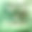 Thumbnail: The Peaceful Tiger