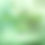 Thumbnail: The Peaceful Tiger