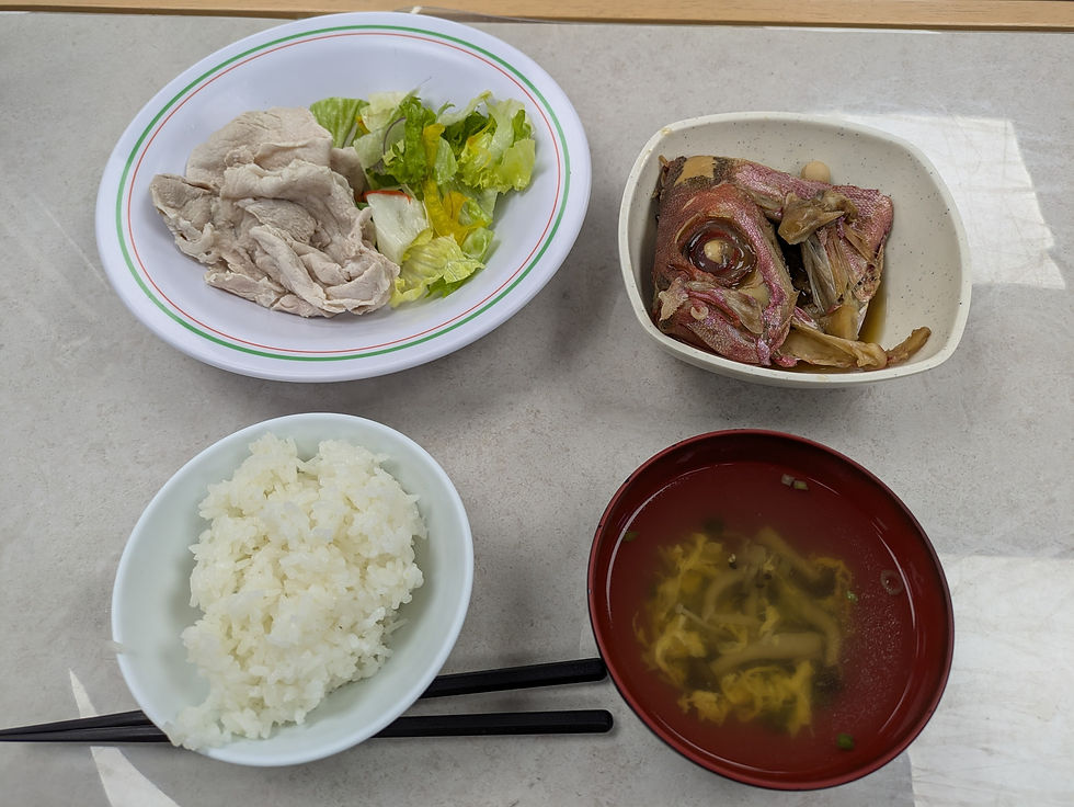 初日の夕飯!キントキがめっちゃうまそう!