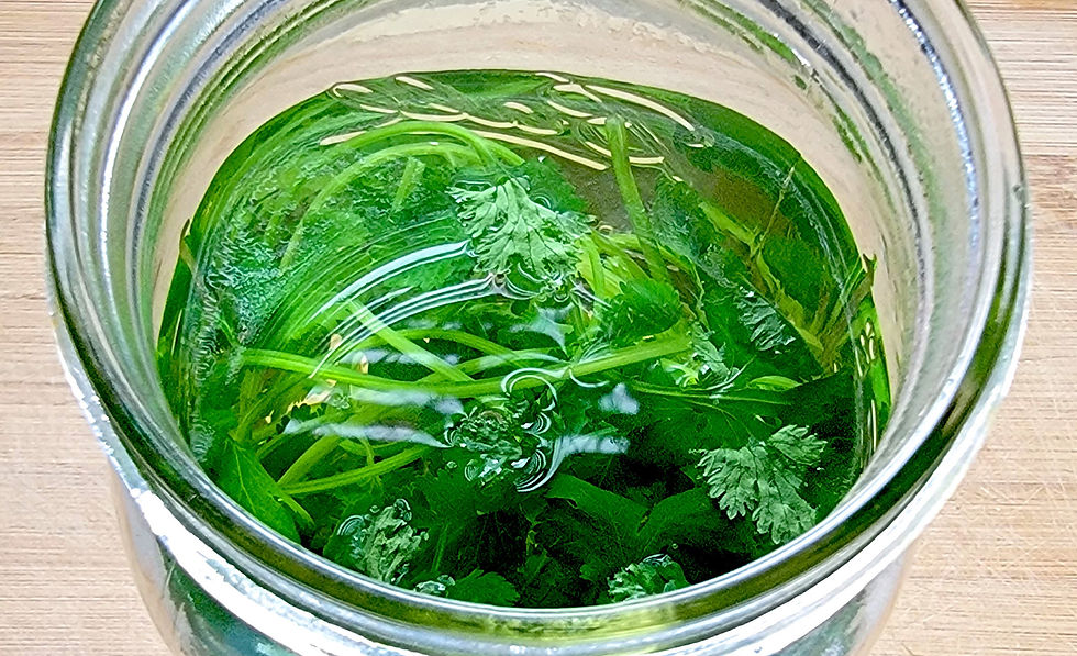 Cilantro Tea