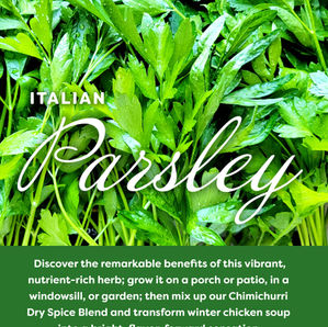 Italian Parsley
