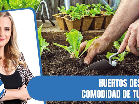Reportaje de Nuria Piera sobre huertos urbanos en Santo Domingo.