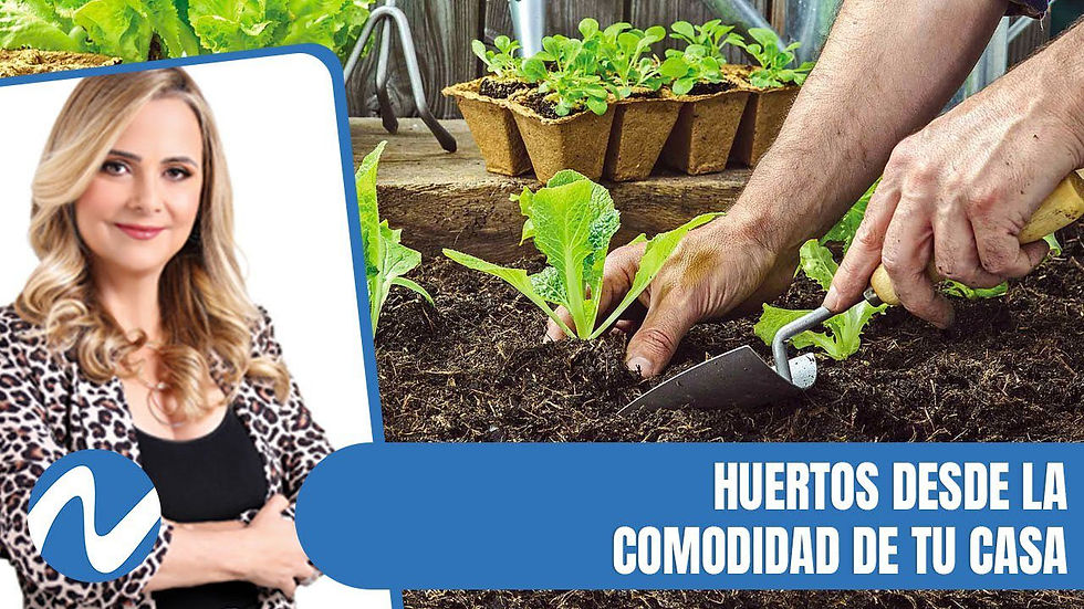 Reportaje de Nuria Piera sobre huertos urbanos en Santo Domingo.