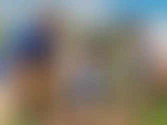 Voluntarios de Grupo Popular siembran 5,000 plantas en Plan Sierra 