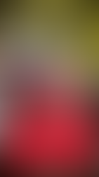 Happy 4th let's celebrate