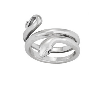 Screen Shot 2022-01-18 at 9.50.24 AM.png