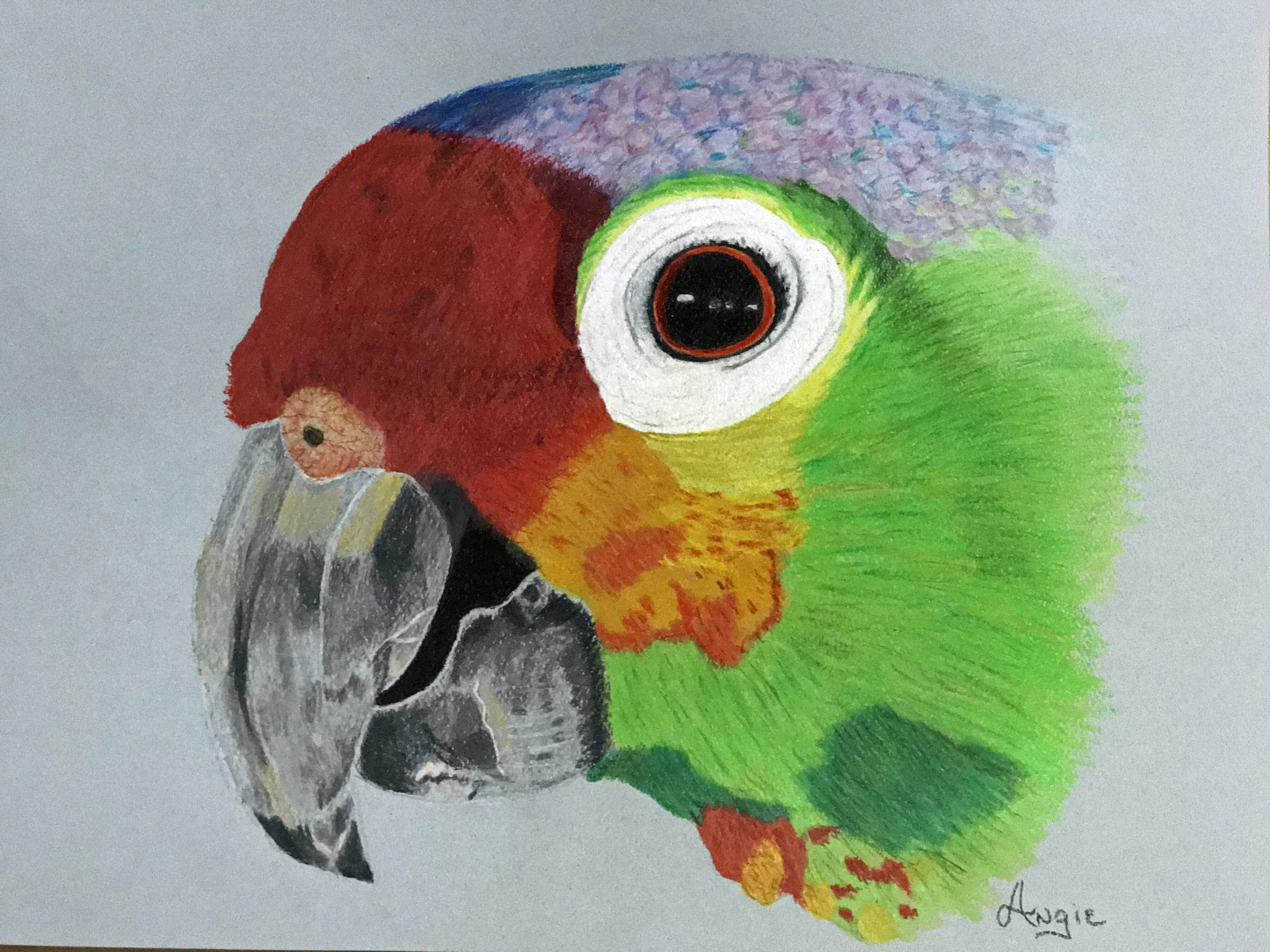 AngieParrot