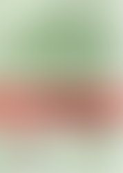 ［活動推廣］《禁毒宣傳廣告短片》製作團隊招募