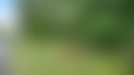 SOLD! 5467 Misty Creek Drive, Kalamazoo, MI 49009