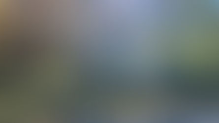 9122 Richland Woods Drive, Richland, MI 49083