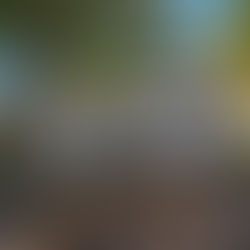 11641 E G Ave, Galesburg MI 49053