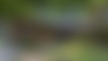 Sold!120 Iden Lane, Battle Creek, MI 49017