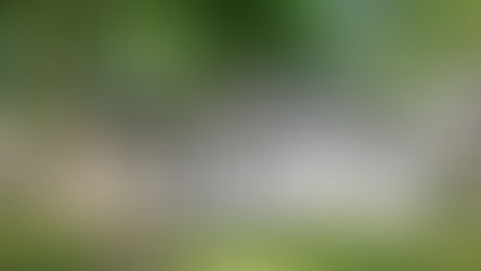 SOLD! 470 E Gull Lake Drive, Augusta, MI 49012