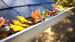 Top 5 Maintenance Tips to Save You Time and Money