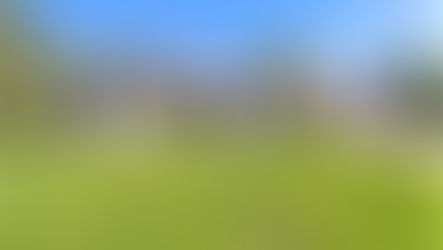 SOLD! 246 Westchester Way Battle Creek, MI 49015