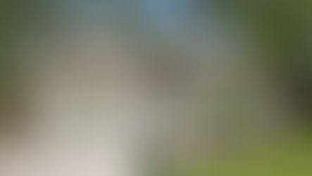 SOLD! 6160 Oatman Drive, Kalamazoo, MI 49004