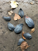 IMG_2983.JPEG