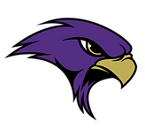 New Falcon Head Logo.png