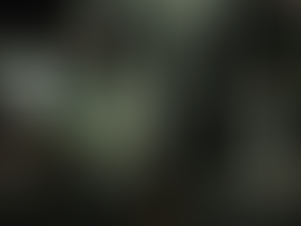 Sabino Estrena "RomA"