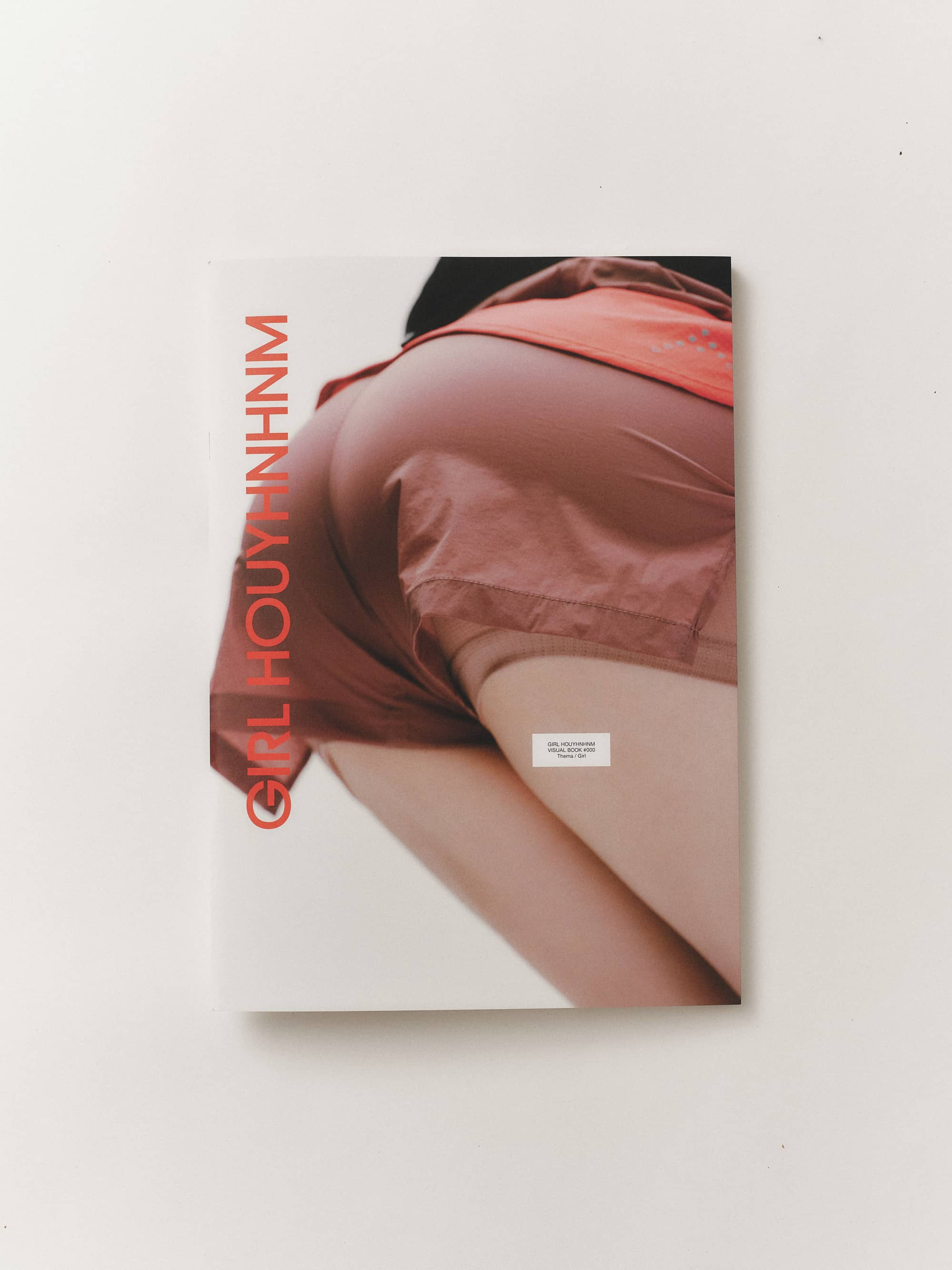 GIRL HOUYHNHNM VISUAL BOOK #000 image 3