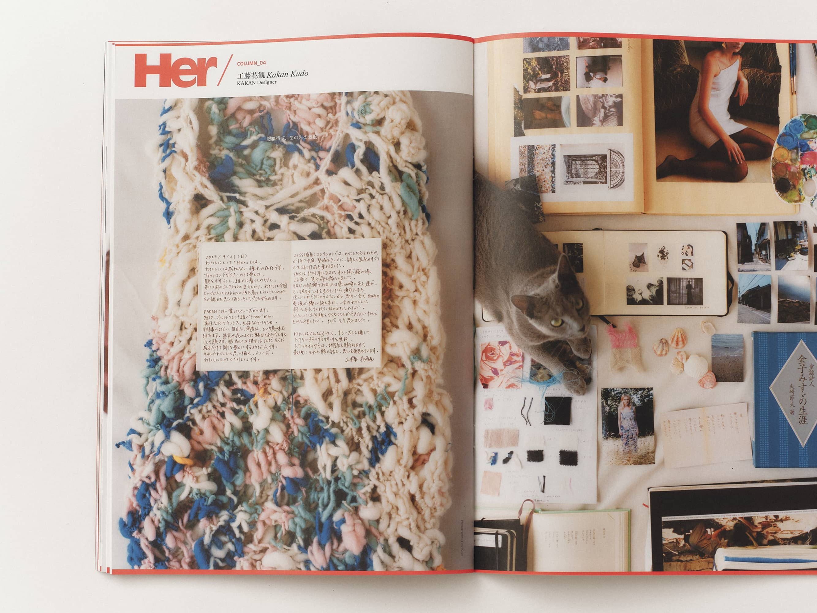 GIRL HOUYHNHNM VISUAL BOOK #000 image 7