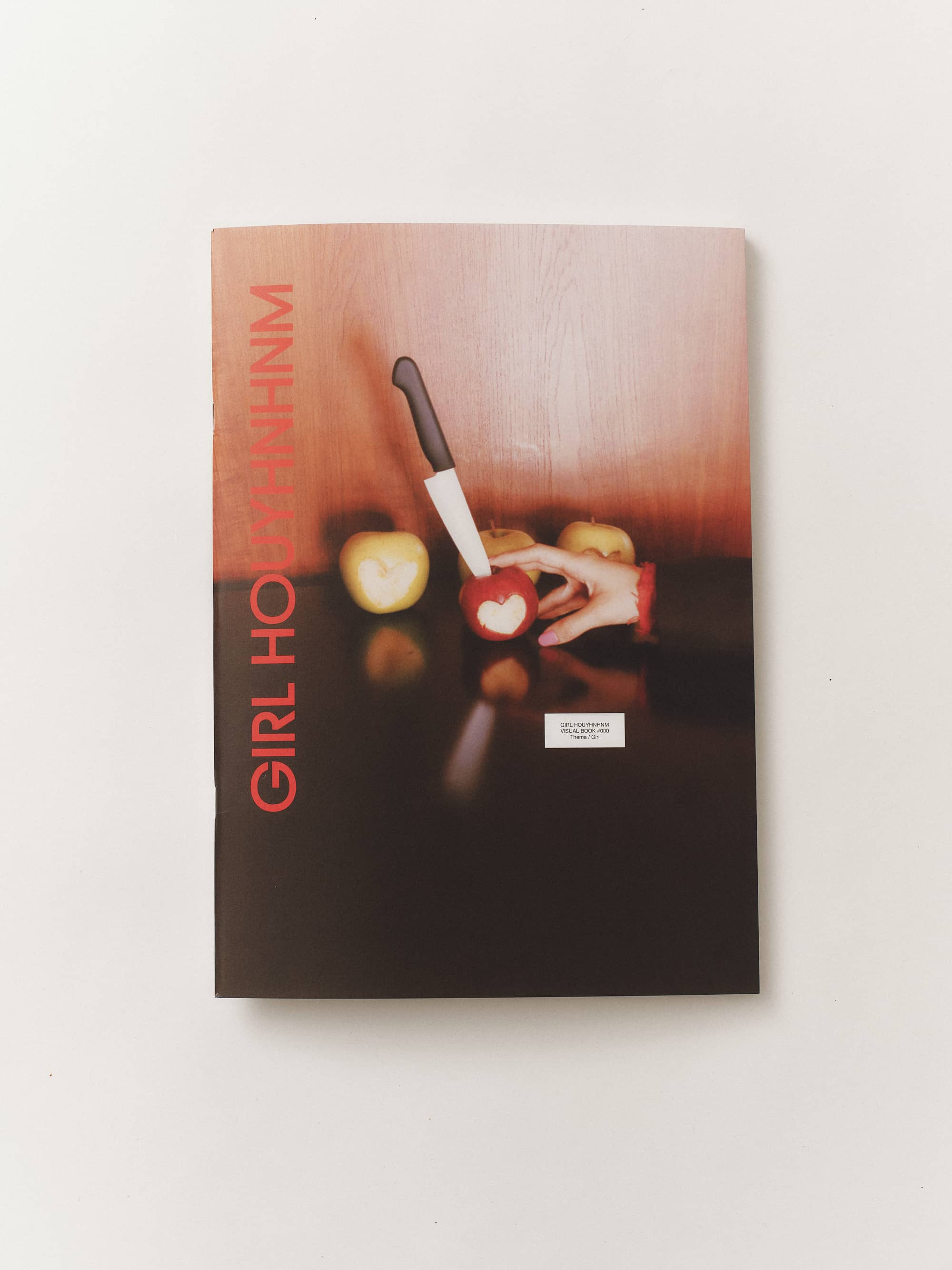 GIRL HOUYHNHNM VISUAL BOOK #000 image 4